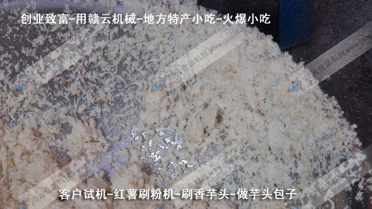 紅薯刷粉機(jī)-刷芋頭粉-芋頭包子-客戶試機(jī)-贛云機(jī)械