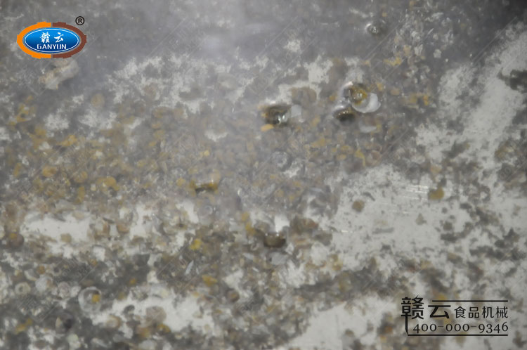 田螺剪尾機(jī)剪出來的田螺尾