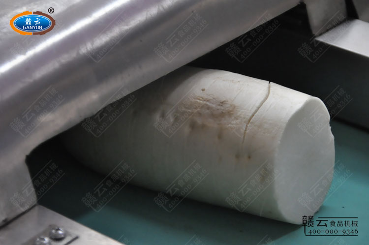 將整個蘿卜放入定做切菜機輸送帶內(nèi)